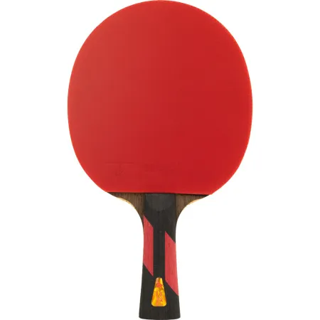 Ракетка для н/т DOUBLE FISH 7A+C, для професс.,ITTF Appr.,накл.2,1мм,+ 2 мяча V40+мм ITTF Appr за 3&nbsp;559.80 ₽ купить в Хабаровске