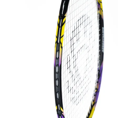 Ракетка бадм. TORRES Carbon PRO6, BD20521,для продв., стерж/обод из карбона,со струнами, фиол за 4&nbsp;477.80 ₽ купить в Хабаровске