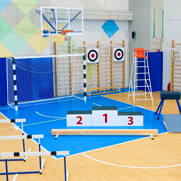 Щит для метания навесной на шведскую стенку (фанера) 700х700 ZAVODSPORTA за 8&nbsp;960 ₽ в Хабаровске