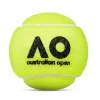 Мяч теннисный Dunlop Australian Open, 601601, уп..3 шт, одобр.ITF,фетр,нат.резина, желтый за 1&nbsp;171.30 ₽ купить в Хабаровске