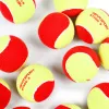 Мяч теннисный детский NS Red, 5021009, уп.12 шт, резина, шерть, нейлон, желто-красный за 2&nbsp;941 ₽ купить в Хабаровске