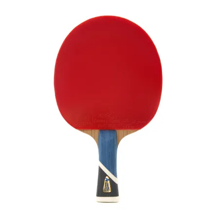 Ракетка для н/т DOUBLE FISH 5A+C, для продвин, ITTF Appr, накл. 2,1 мм, конич. ручка+ 2 мяча V40+мм за 2&nbsp;779.50 ₽ купить в Хабаровске