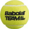 Мяч теннисный BABOLAT Team All Court,502081, уп.4 шт,одобр.ITF, сукно, нат.резина,желтый за 2&nbsp;385.10 ₽ купить в Хабаровске