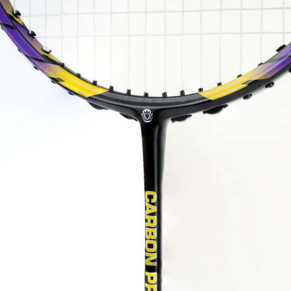 Ракетка бадм. TORRES Carbon PRO6, BD20521,для продв., стерж/обод из карбона,со струнами, фиол за 4&nbsp;477.80 ₽ в Хабаровске